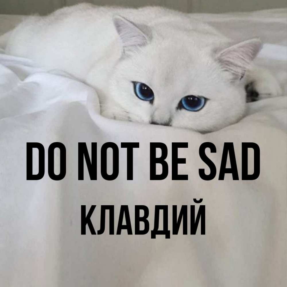 Greetings card с именем, Клавдий Do not be sad Голубоглазая кошка Greetings with text for free download 