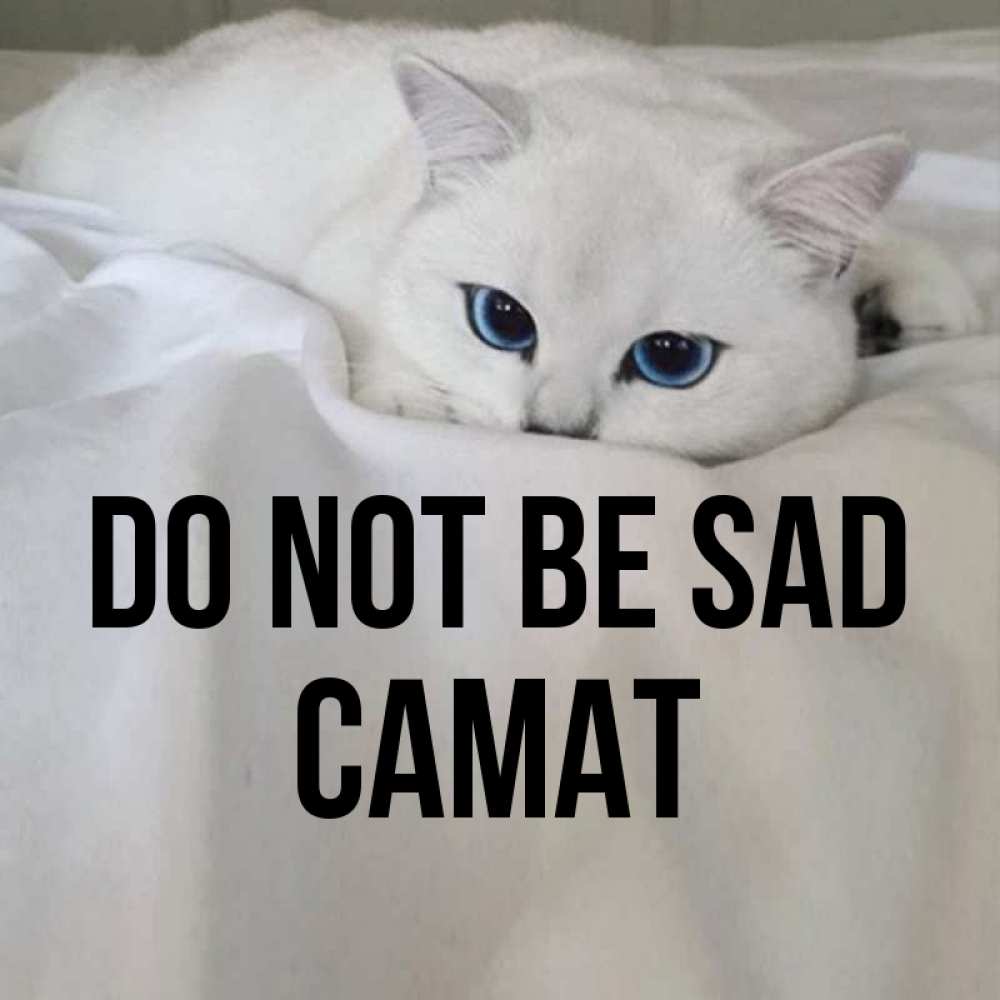 Greetings card с именем, САМАТ Do not be sad Голубоглазая кошка Greetings with text for free download 