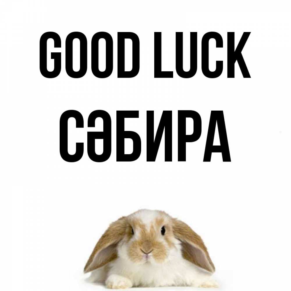 Greetings card с именем, СӘБИРА Good luck открытки с произвольным текстом который можно вставить в открытку и создать ее самостоятельно бесплатно онлайн Greetings with text for free download 