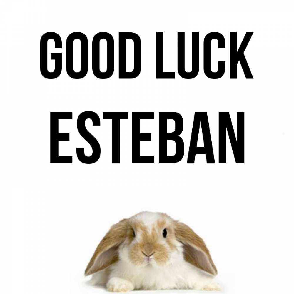 Greetings card с именем, Esteban Good luck открытки с произвольным текстом который можно вставить в открытку и создать ее самостоятельно бесплатно онлайн Greetings with text for free download 