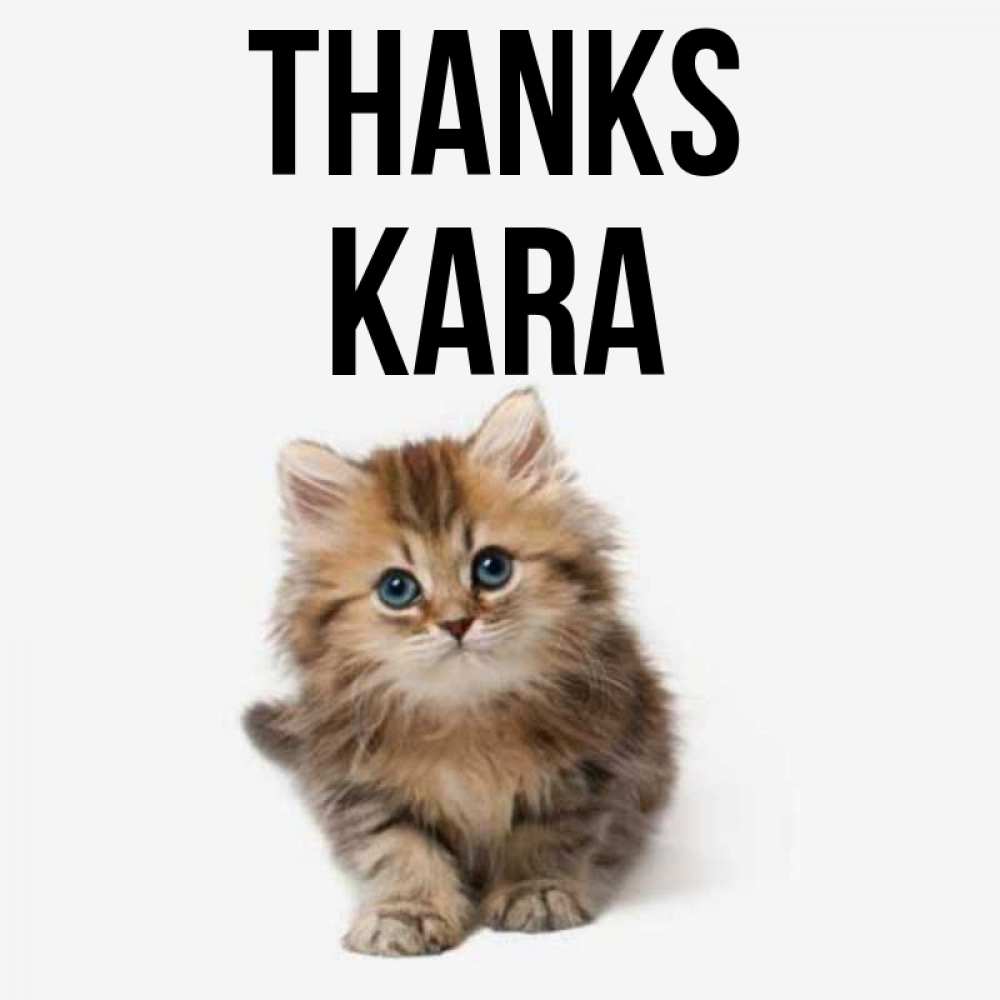 Greetings card с именем, Kara Thanks пушистый котик Greetings with text for free download 