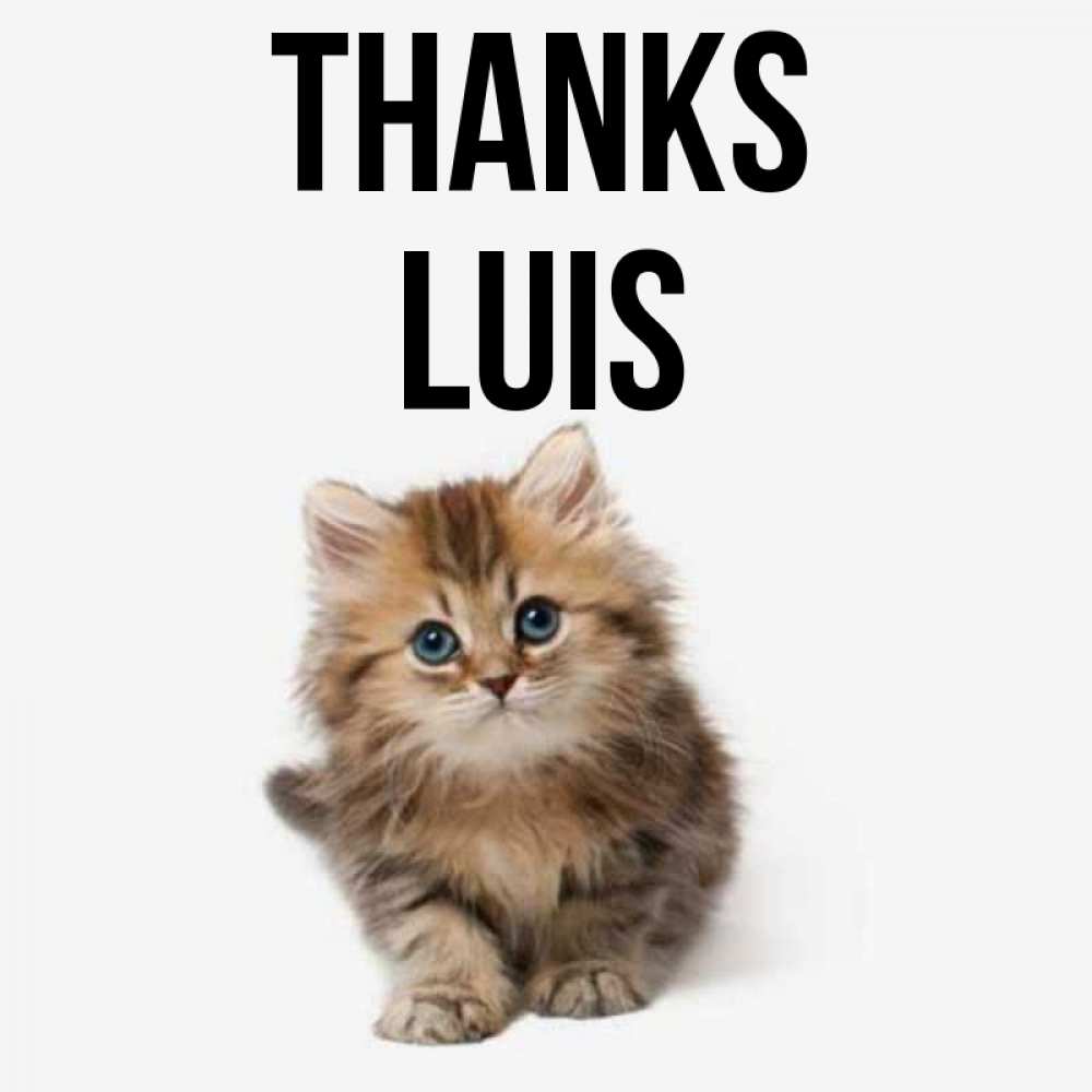 Greetings card с именем, Luis Thanks пушистый котик Greetings with text for free download 