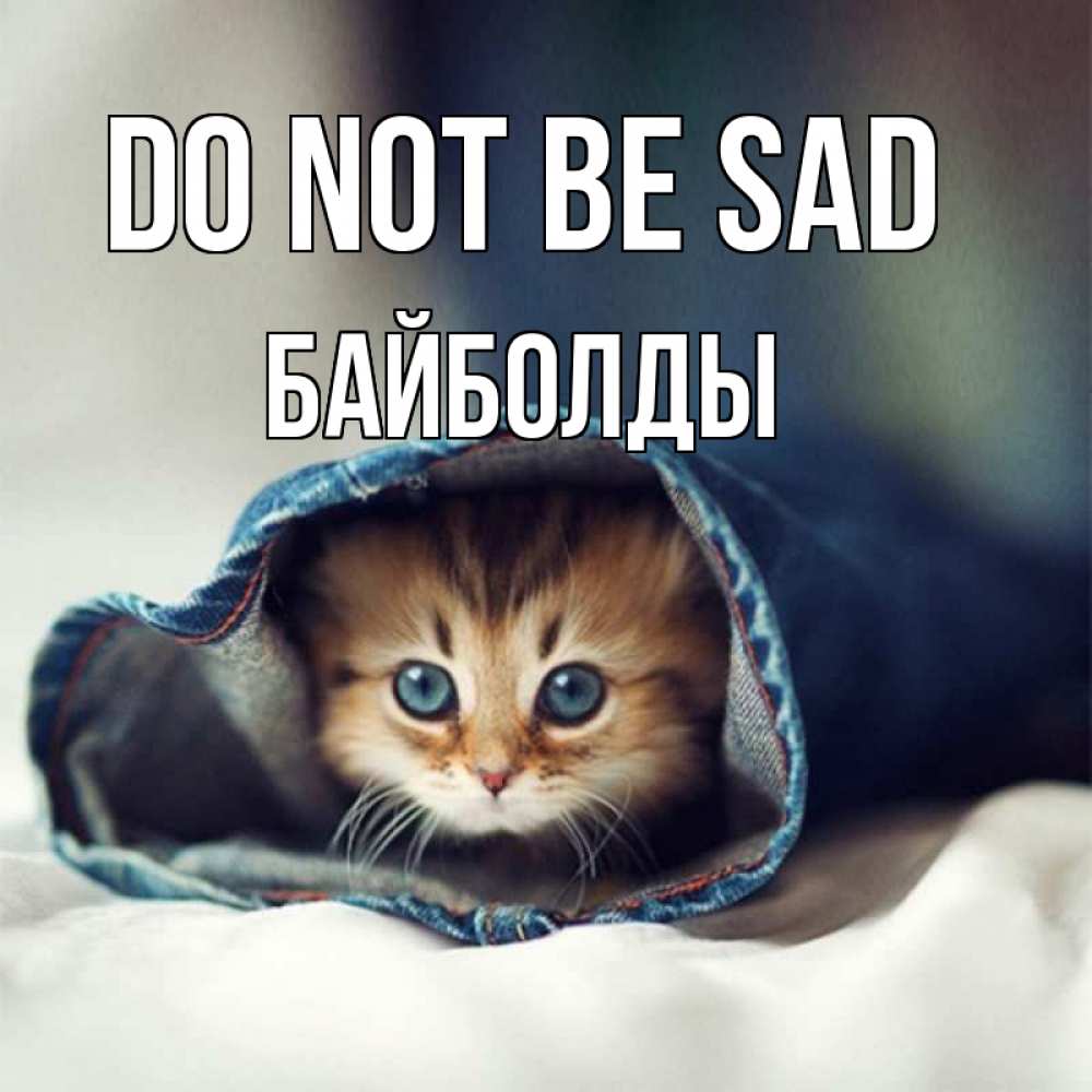 Greetings card с именем, Байболды Do not be sad рыжик котик Greetings with text for free download 