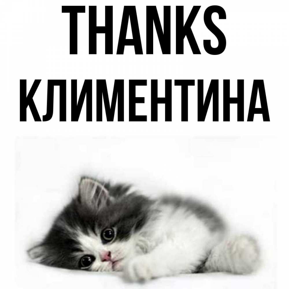 Greetings card с именем, Климентина Thanks черный и белый кот Greetings with text for free download 