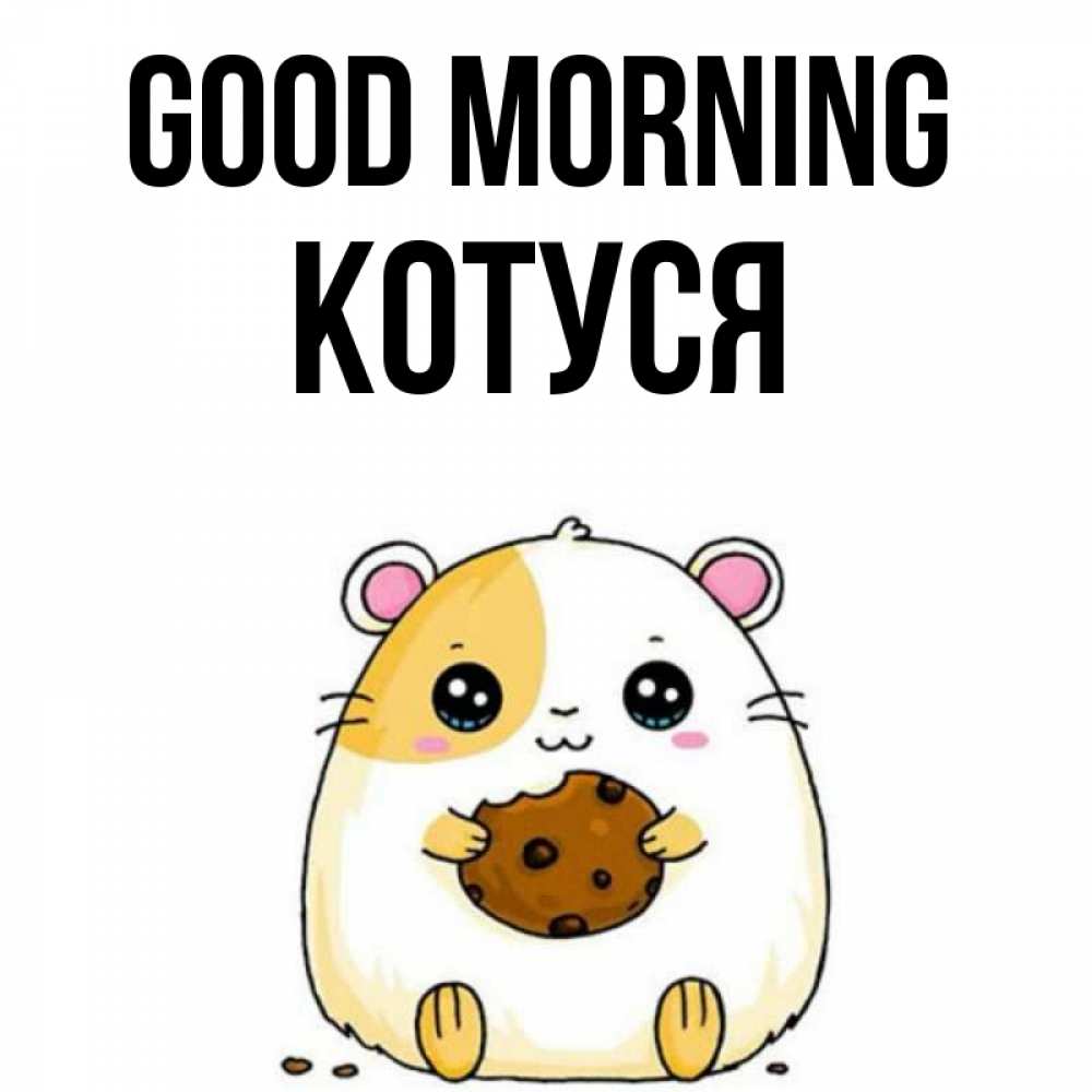 Greetings card с именем, Котуся Good morning есть печеньку. Утречко Greetings with text for free download 