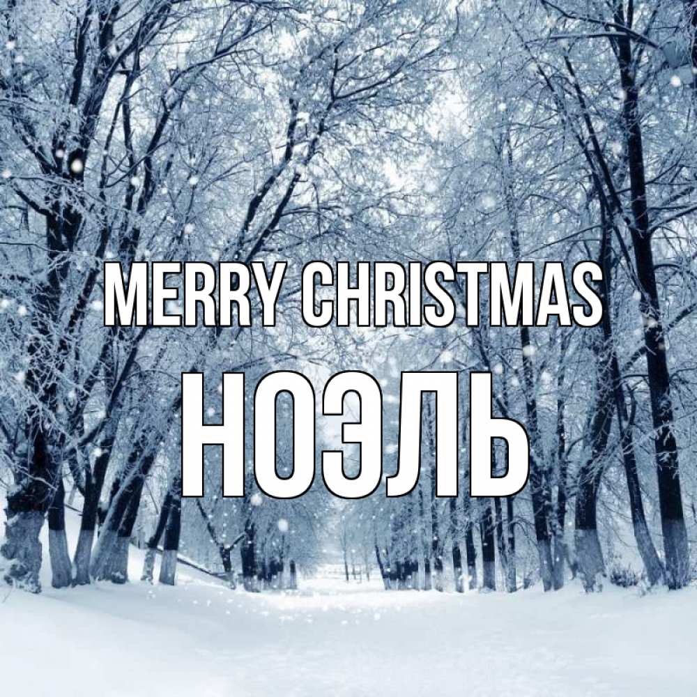 Greetings card с именем, НОЭЛЬ Merry Christmas снег, лес, парк Greetings with text for free download 