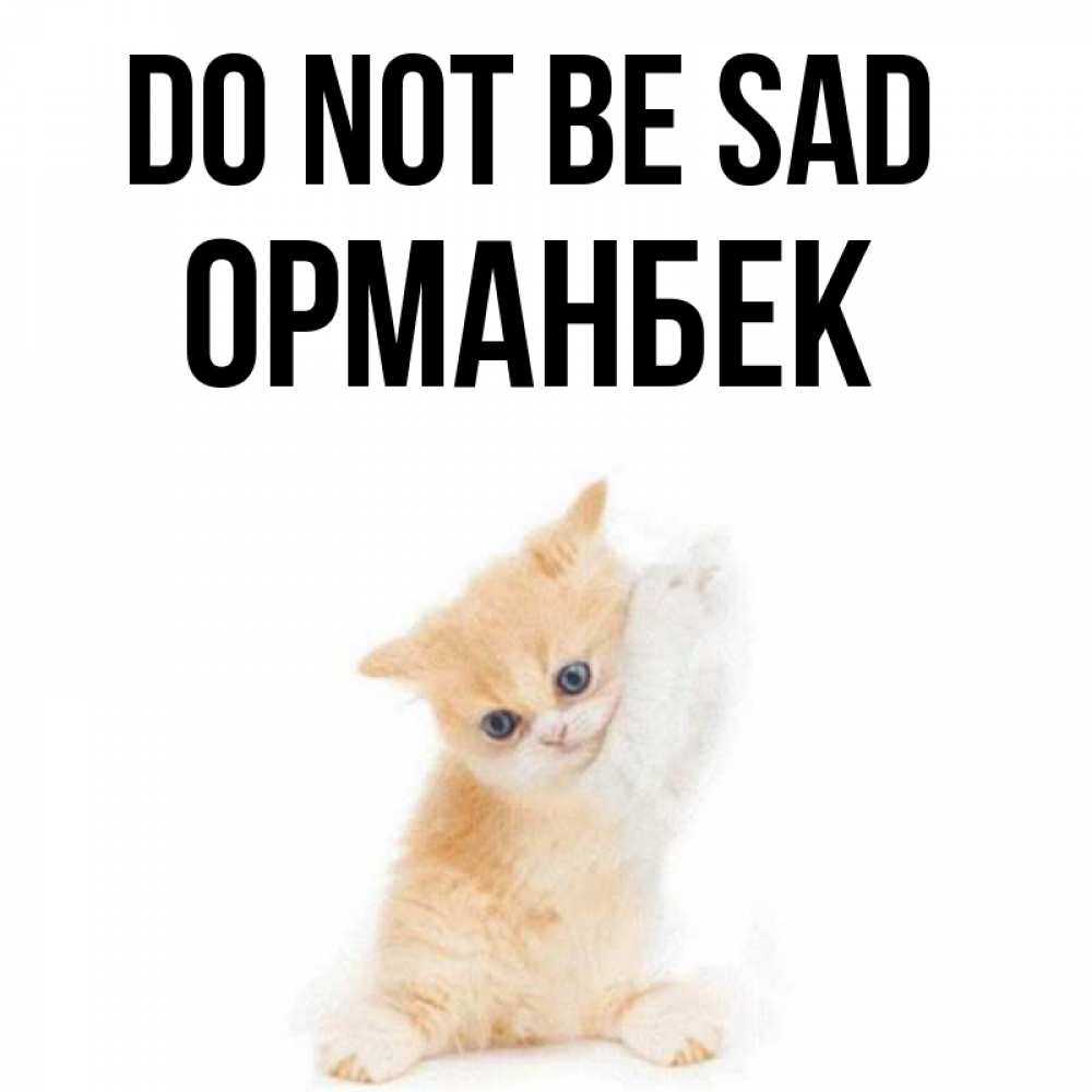 Greetings card с именем, ОРМАНБЕК Do not be sad просящий кот Greetings with text for free download 