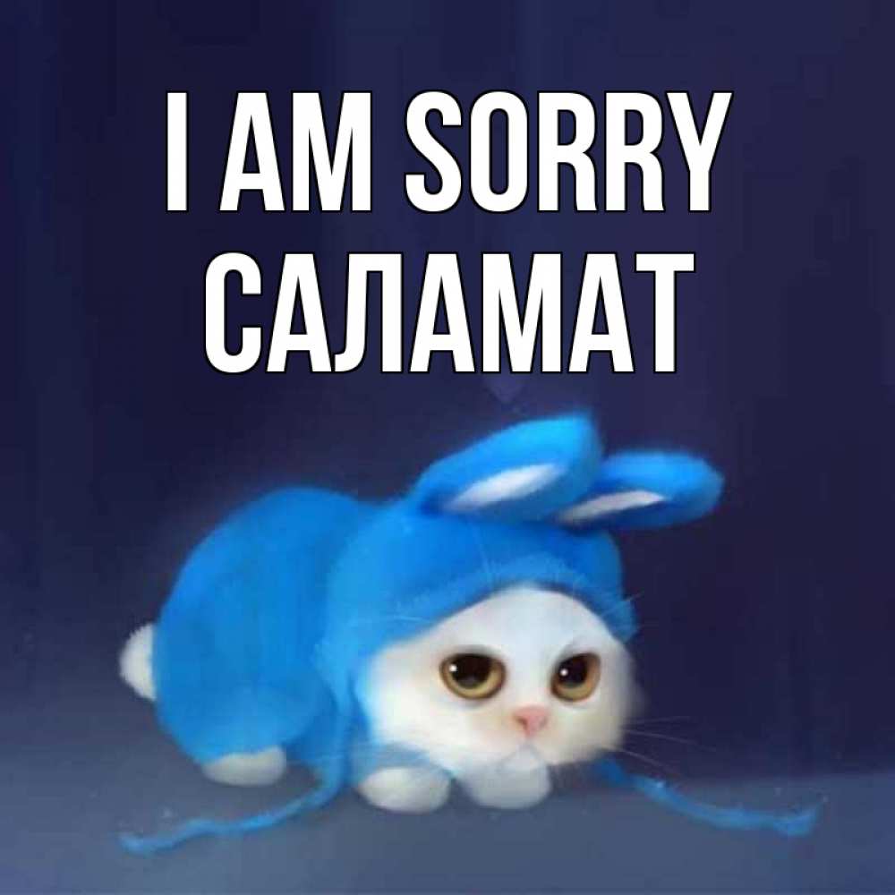 Greetings card с именем, САЛАМАТ I am sorry невинный котозай просит прощения Greetings with text for free download 