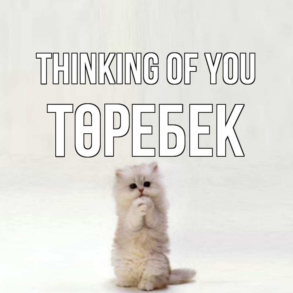 Greetings card с именем, ТӨРЕБЕК Thinking of you кот стоит на задних лапах Greetings with text for free download 