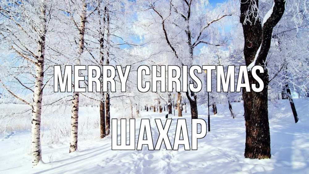 Greetings card с именем, ШАХАР Merry Christmas зимний лес Greetings with text for free download 