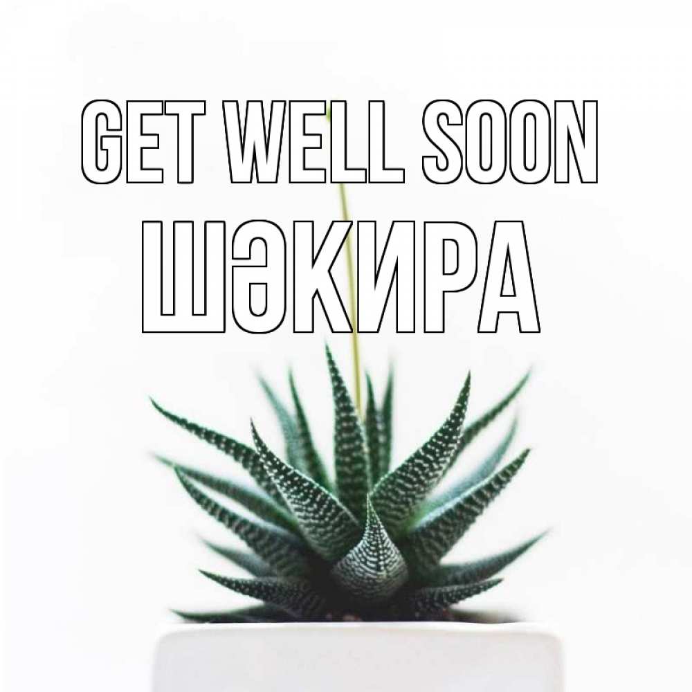 Greetings card с именем, ШӘКИРА Get well soon короче это непонятная колючка Greetings with text for free download 