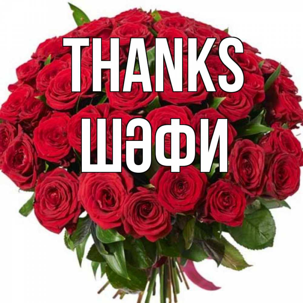 Greetings card с именем, ШӘФИ Thanks букет красных роз Greetings with text for free download 