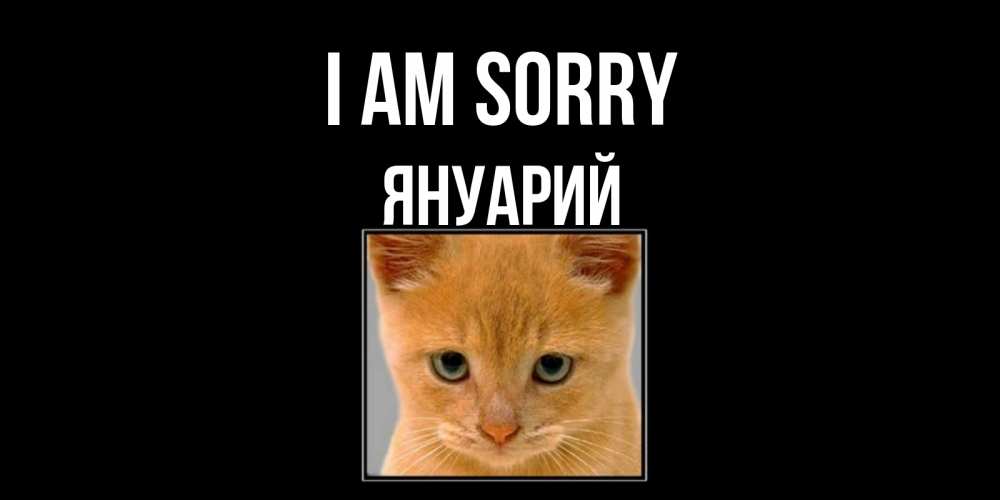 Greetings card с именем, Януарий I am sorry рыжий грустный кот просит прощения Greetings with text for free download 