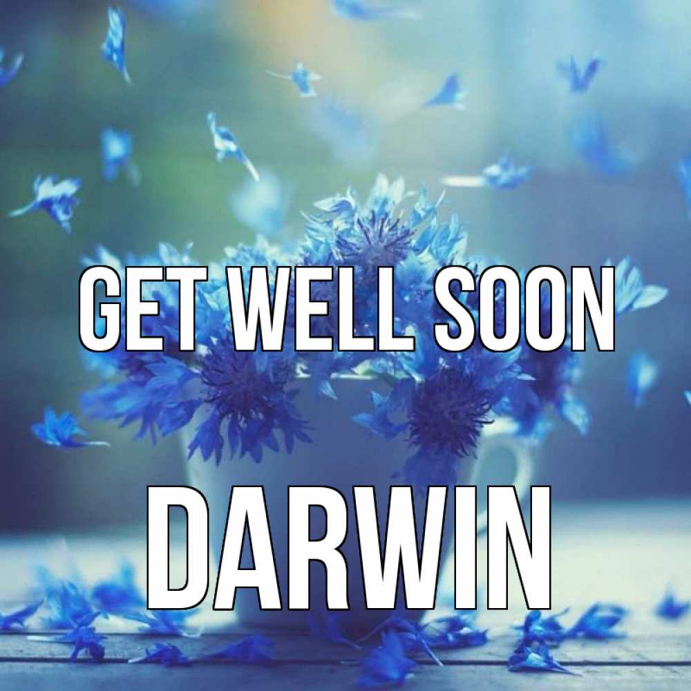 Greetings card с именем, Darwin Get well soon кружка с зельем и цветами Greetings with text for free download 