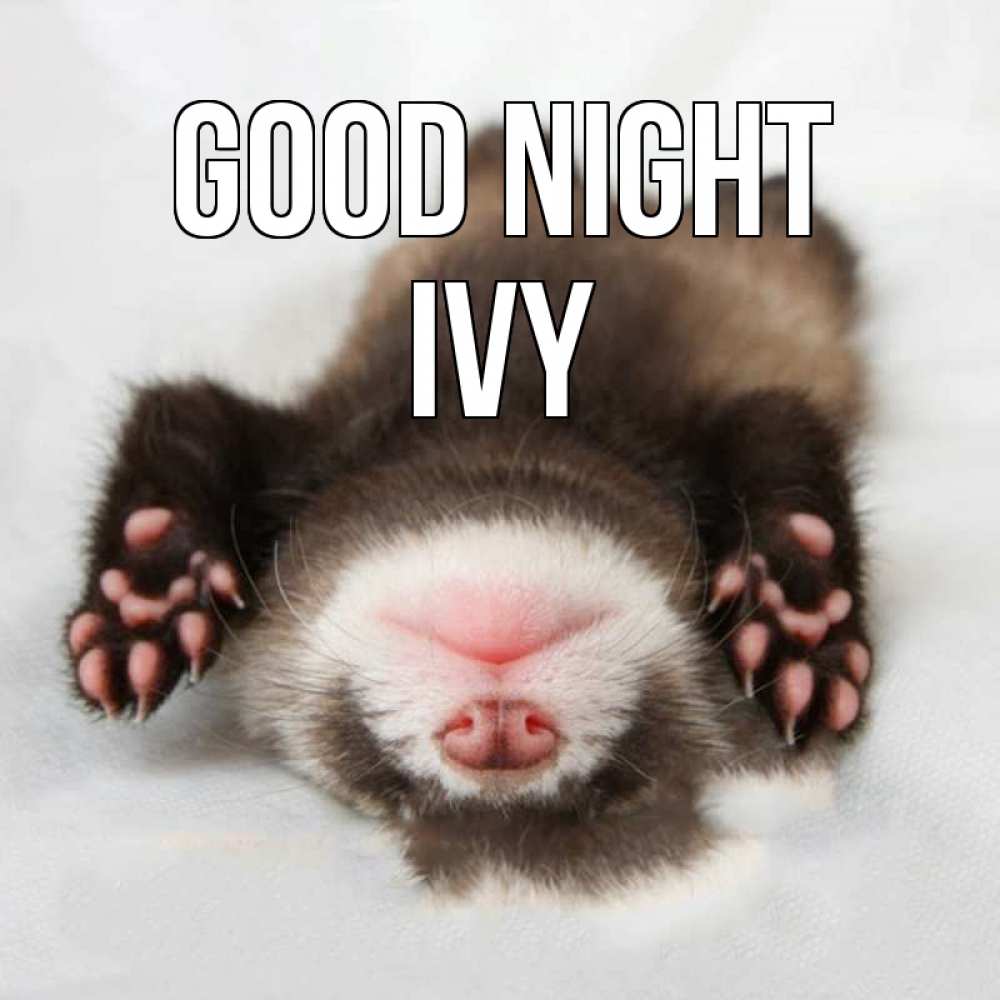 Greetings card с именем, Ivy Good night зверек Greetings with text for free download 