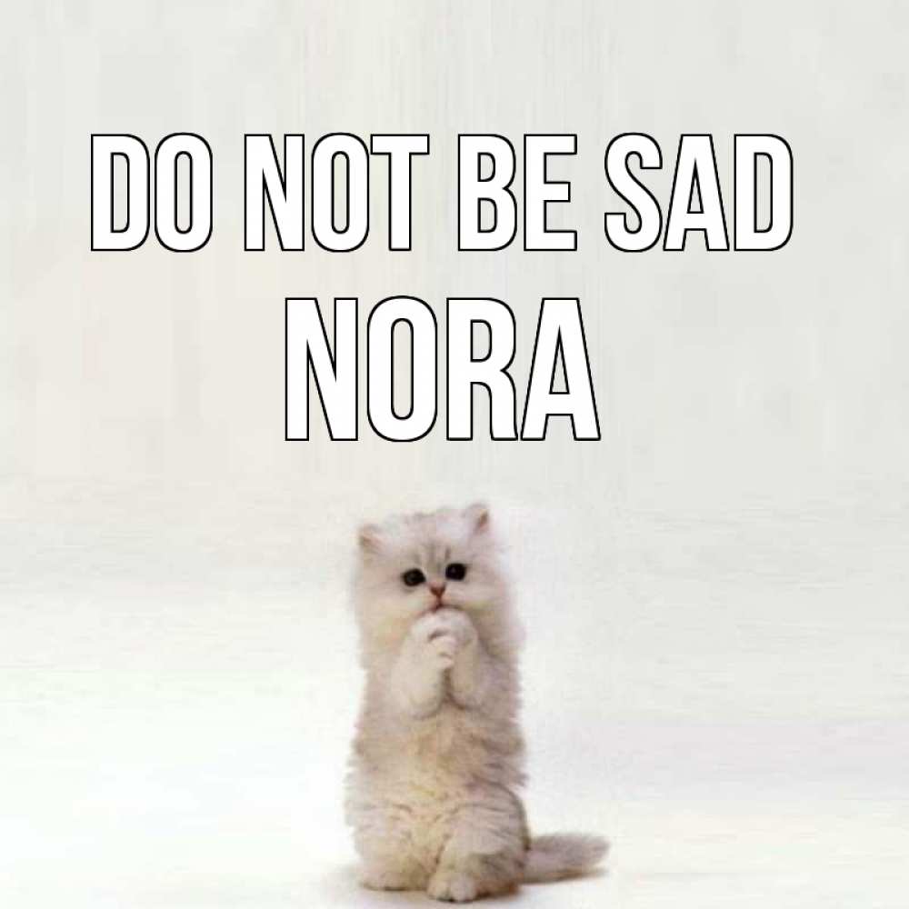 Greetings card с именем, Nora Do not be sad грустный кот Greetings with text for free download 