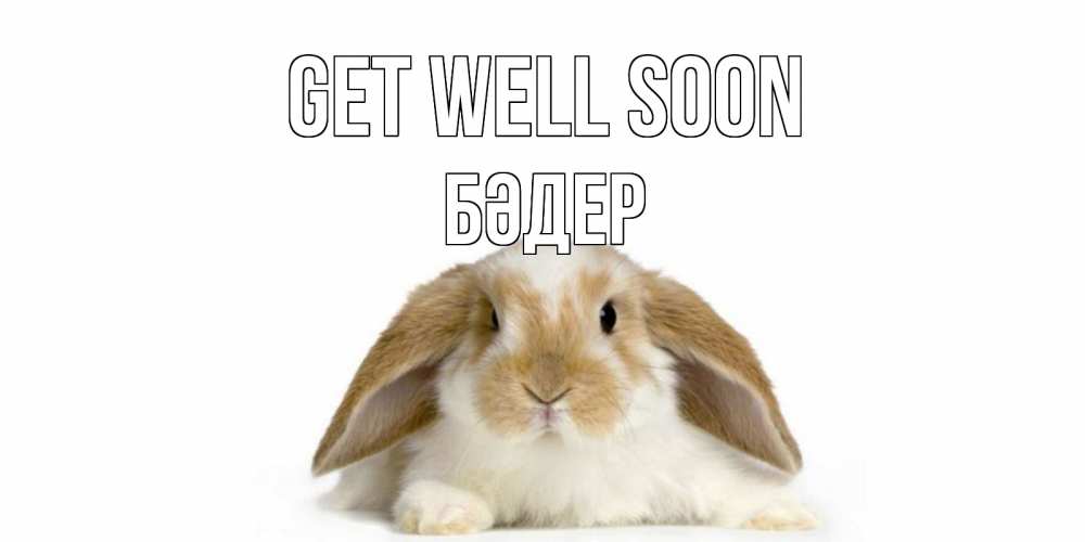 Greetings card с именем, БӘДЕР Get well soon вислоухий кролик белого и коричневого цвета Greetings with text for free download 