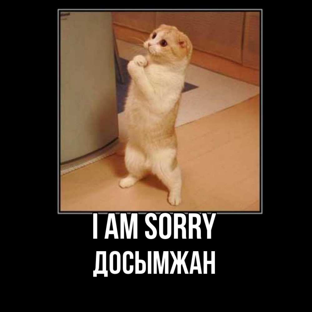 Greetings card с именем, Досымжан I am sorry открытка с милым несчастным котиком просящим прощения Greetings with text for free download 