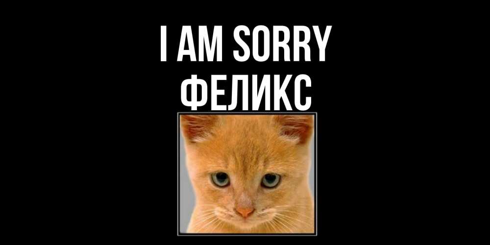 Greetings card с именем, Феликс I am sorry рыжий грустный кот просит прощения Greetings with text for free download 
