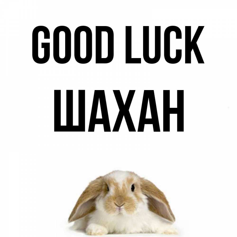 Greetings card с именем, ШАХАН Good luck открытки с произвольным текстом который можно вставить в открытку и создать ее самостоятельно бесплатно онлайн Greetings with text for free download 