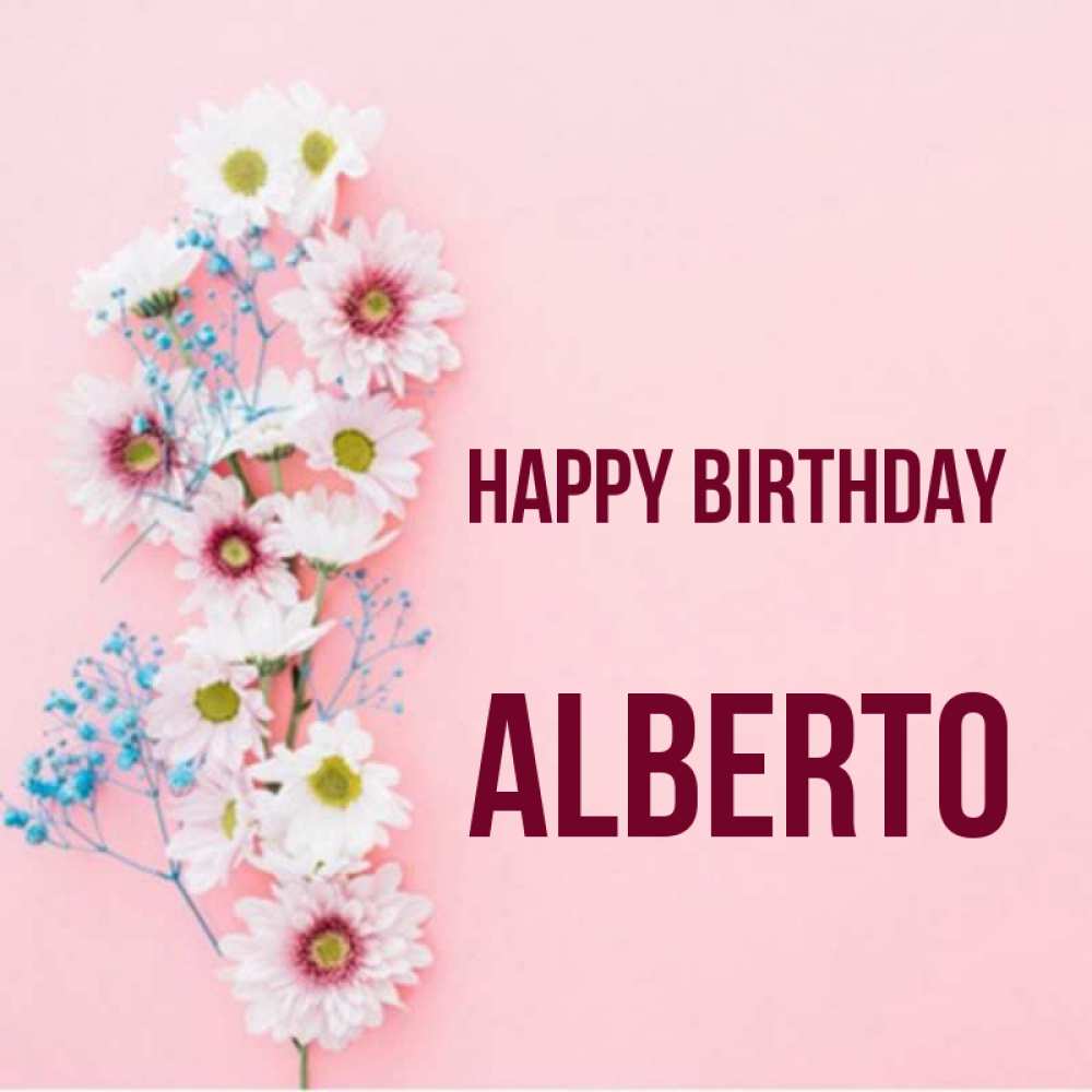 Greetings card с именем, Alberto Happy Birthday Родная моя с днем рождения тебя картинка с цветами белыми и голубыми Greetings with text for free download 