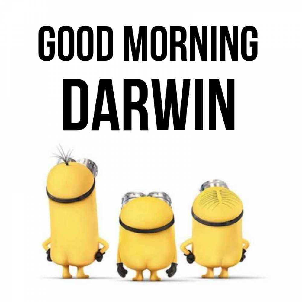 Greetings card с именем, Darwin Good morning подписать открытку онлайн бесплатно Greetings with text for free download 
