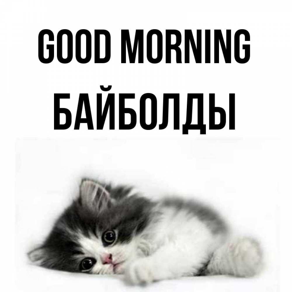 Greetings card с именем, Байболды Good morning кот лапки Greetings with text for free download 