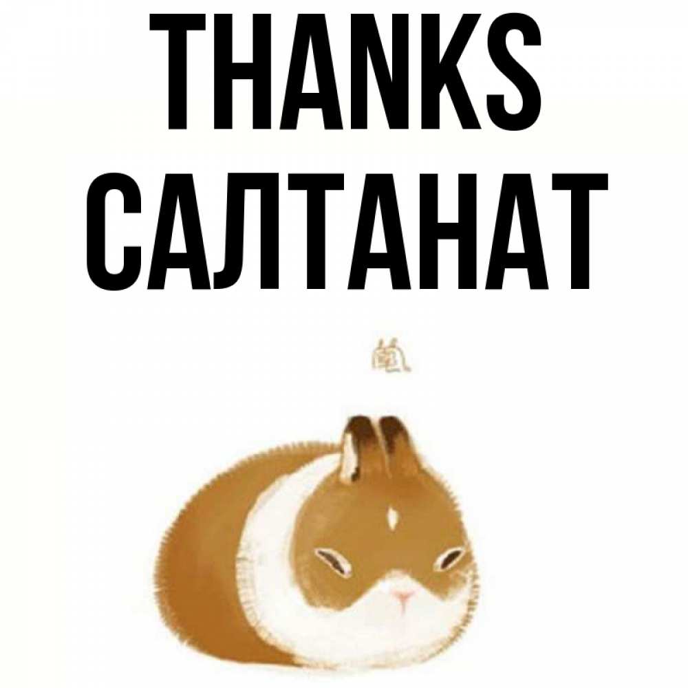 Greetings card с именем, САЛТАНАТ Thanks коричнево белый домашний питомец Greetings with text for free download 
