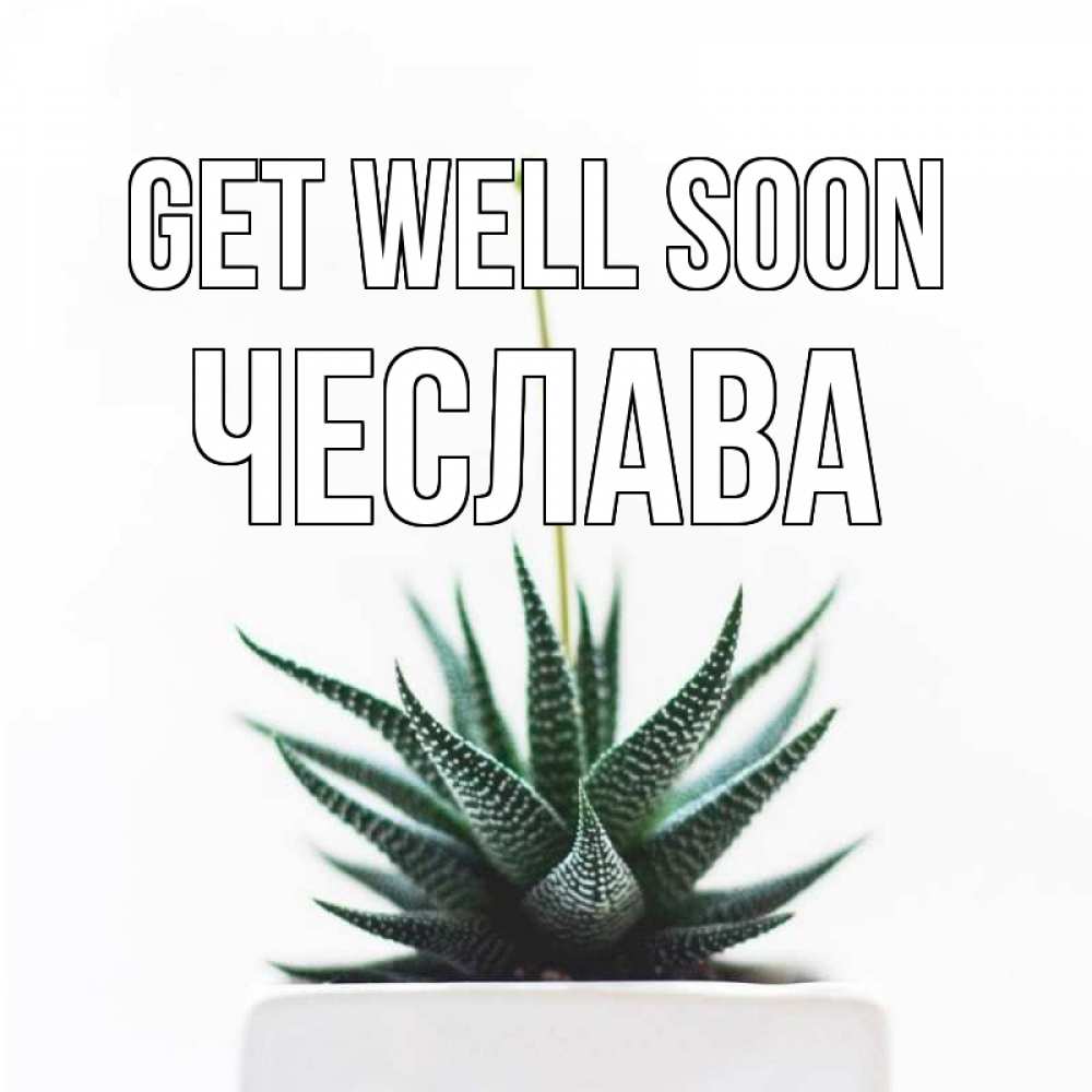 Greetings card с именем, Чеслава Get well soon короче это непонятная колючка Greetings with text for free download 