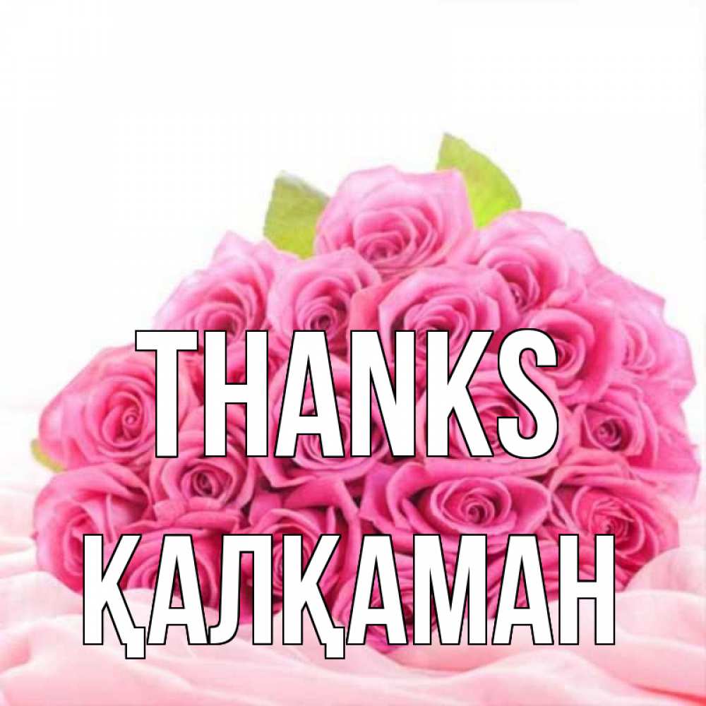 Greetings card с именем, Қалқаман Thanks розовые розы с подписью Greetings with text for free download 