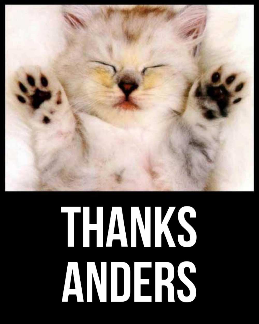 Greetings card с именем, Anders Thanks маленький котенок Greetings with text for free download 