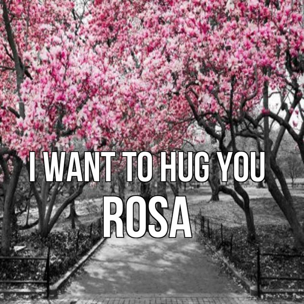 Greetings card с именем, Rosa I want to hug you обработанное фото Greetings with text for free download 