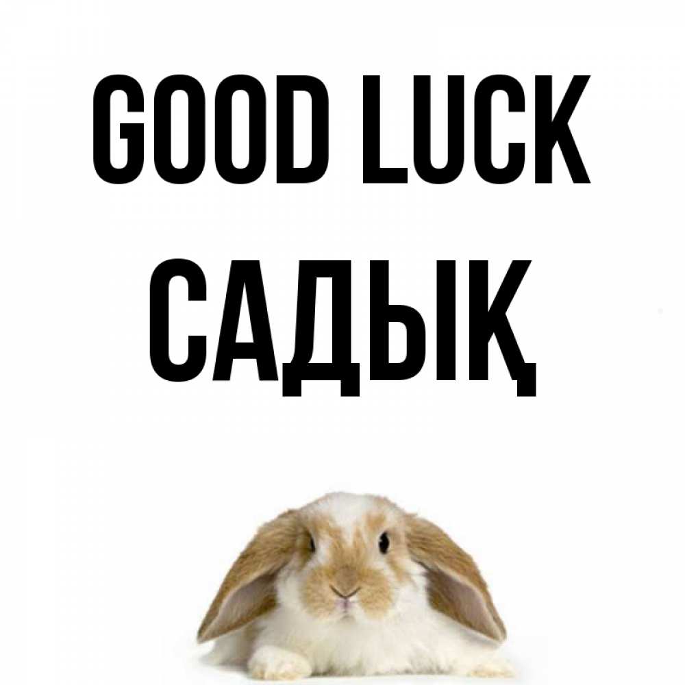 Greetings card с именем, САДЫҚ Good luck открытки с произвольным текстом который можно вставить в открытку и создать ее самостоятельно бесплатно онлайн Greetings with text for free download 