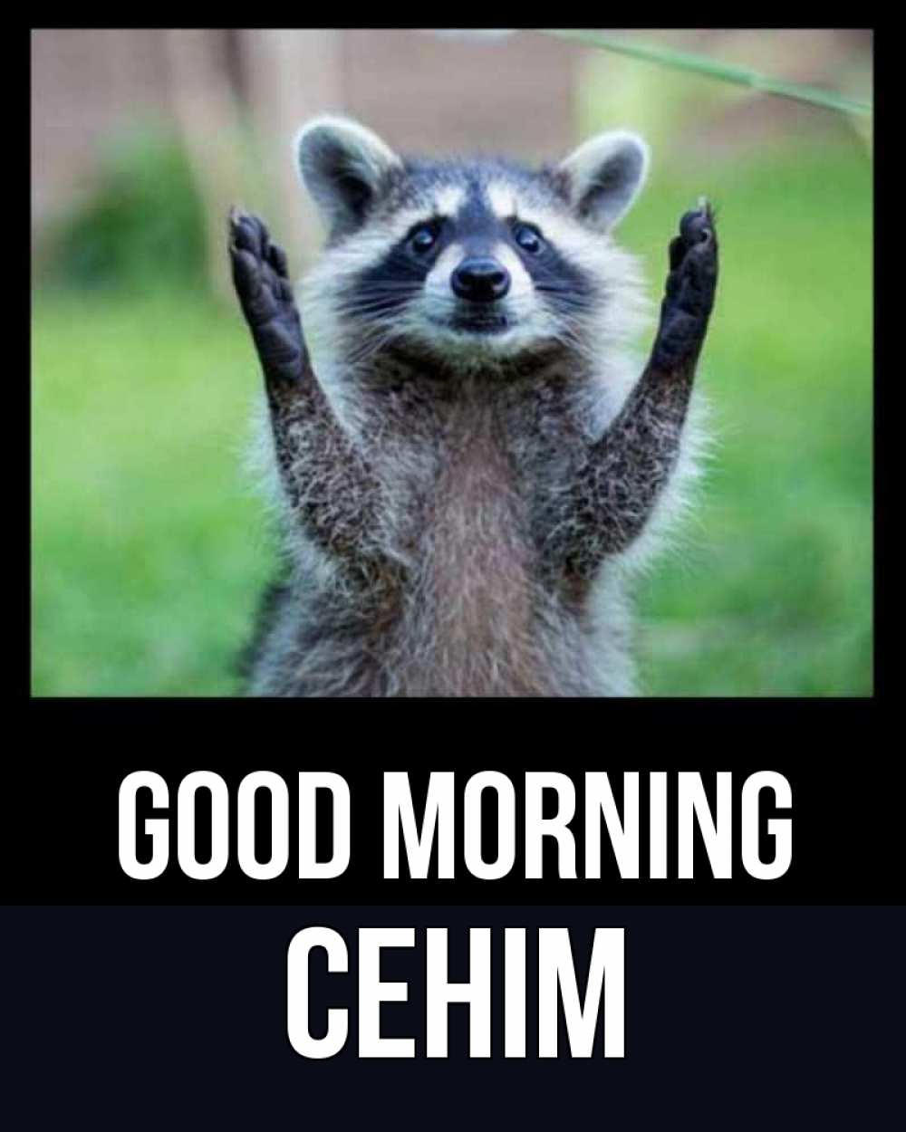 Greetings card с именем, СЕНІМ Good morning хорошее настроение утречком Greetings with text for free download 