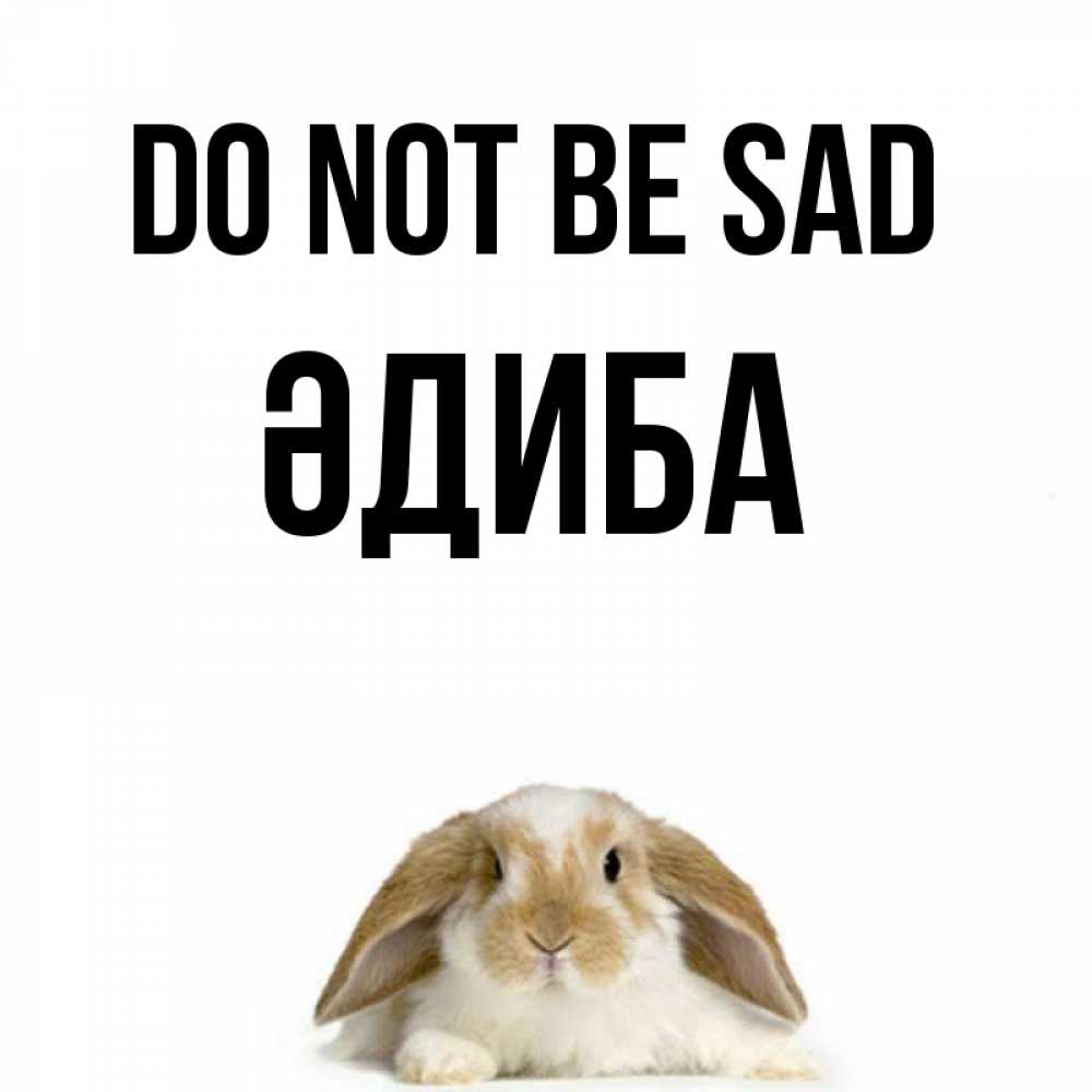 Greetings card с именем, ӘДИБА Do not be sad коричнево белый заяц с большими ушками Greetings with text for free download 