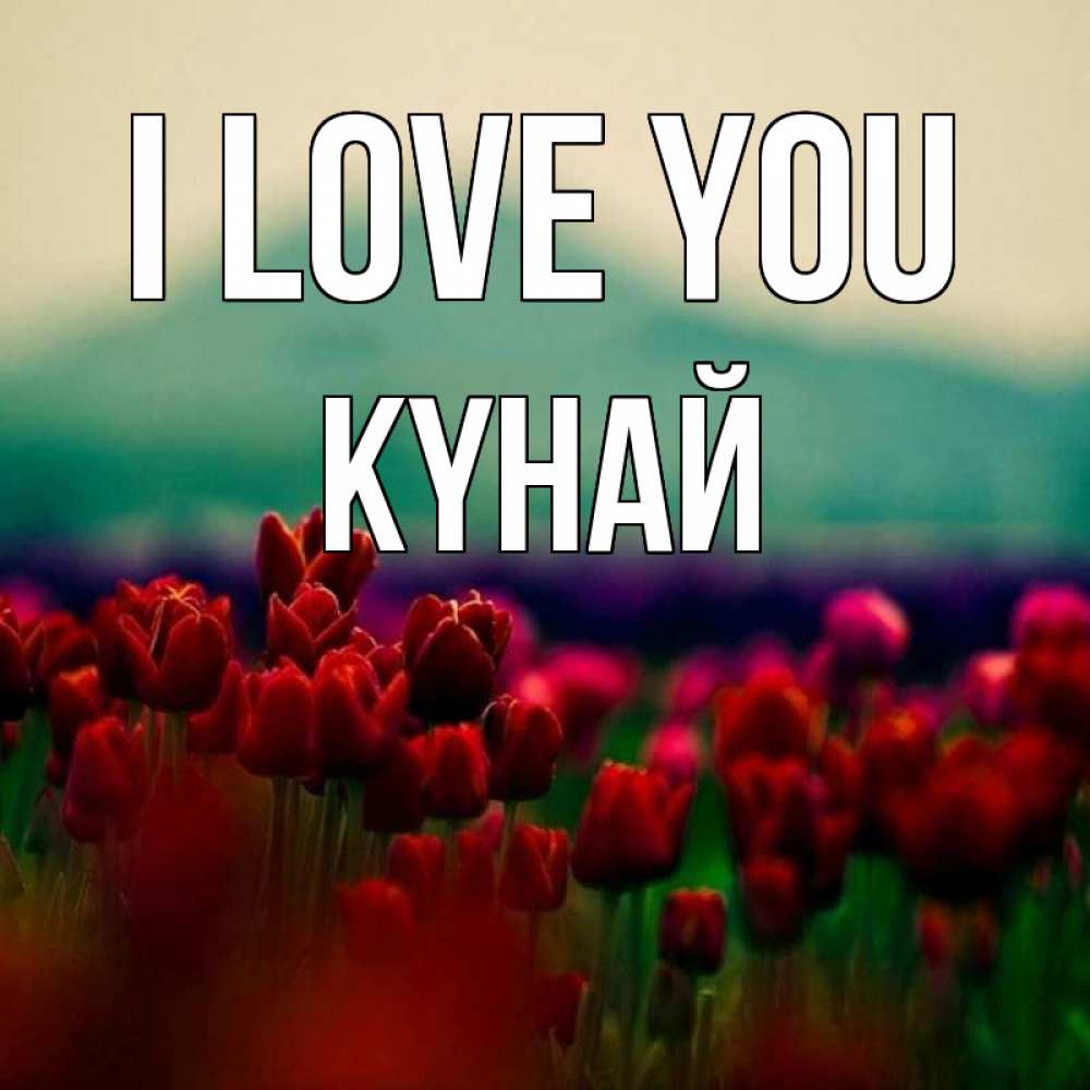 Greetings card с именем, КҮНАЙ I love you тюльпаны 4 Greetings with text for free download 