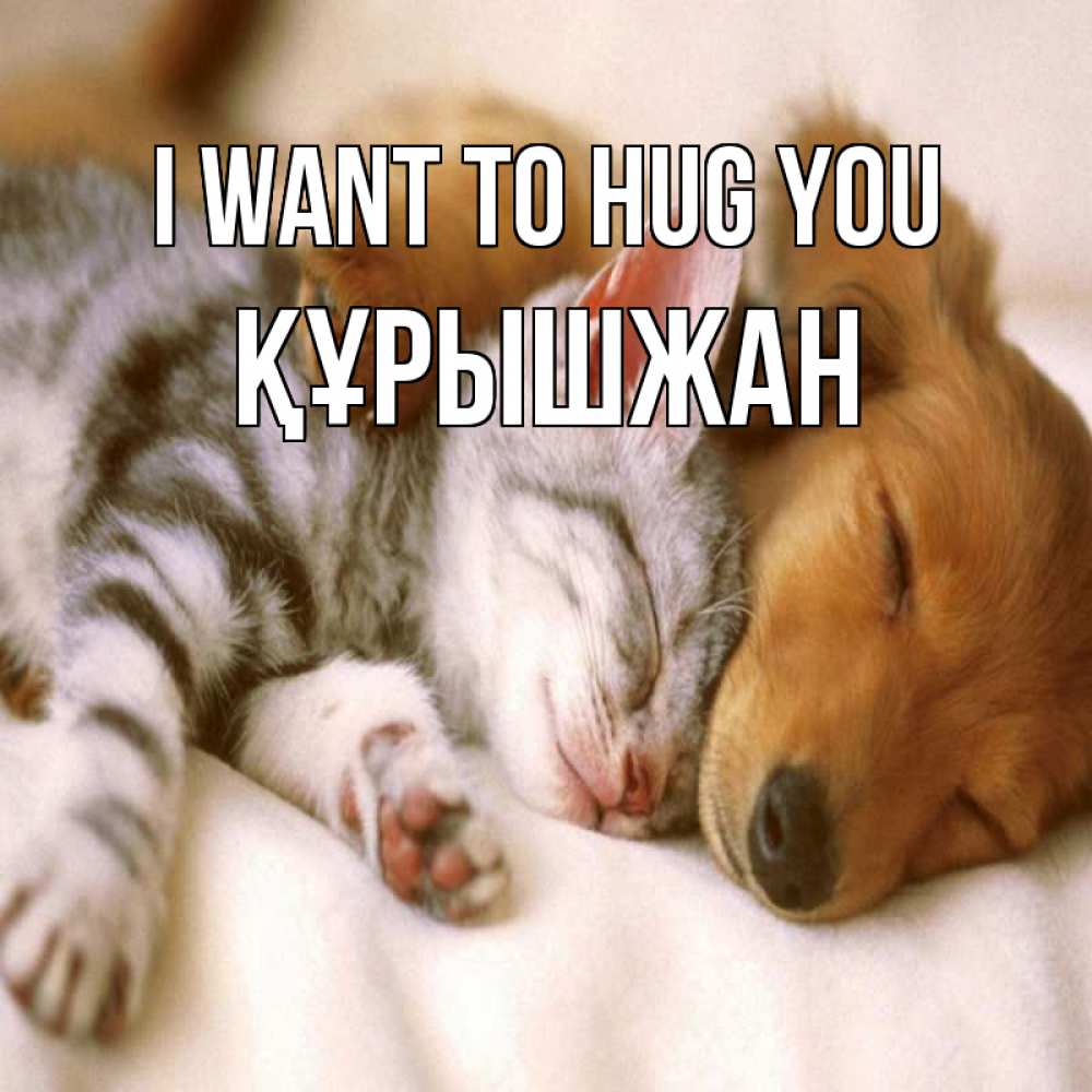 Greetings card с именем, ҚҰРЫШЖАН I want to hug you пес и котенок Greetings with text for free download 