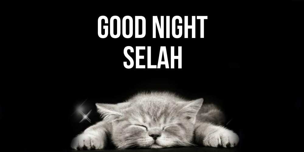 Greetings card с именем, Selah Good night спящий котик Greetings with text for free download 