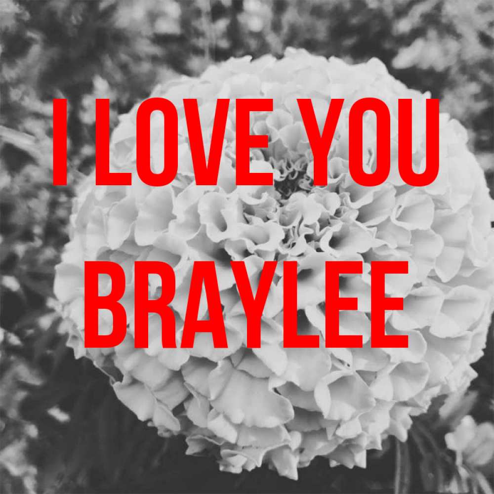 Greetings card с именем, Braylee I love you подпись Greetings with text for free download 