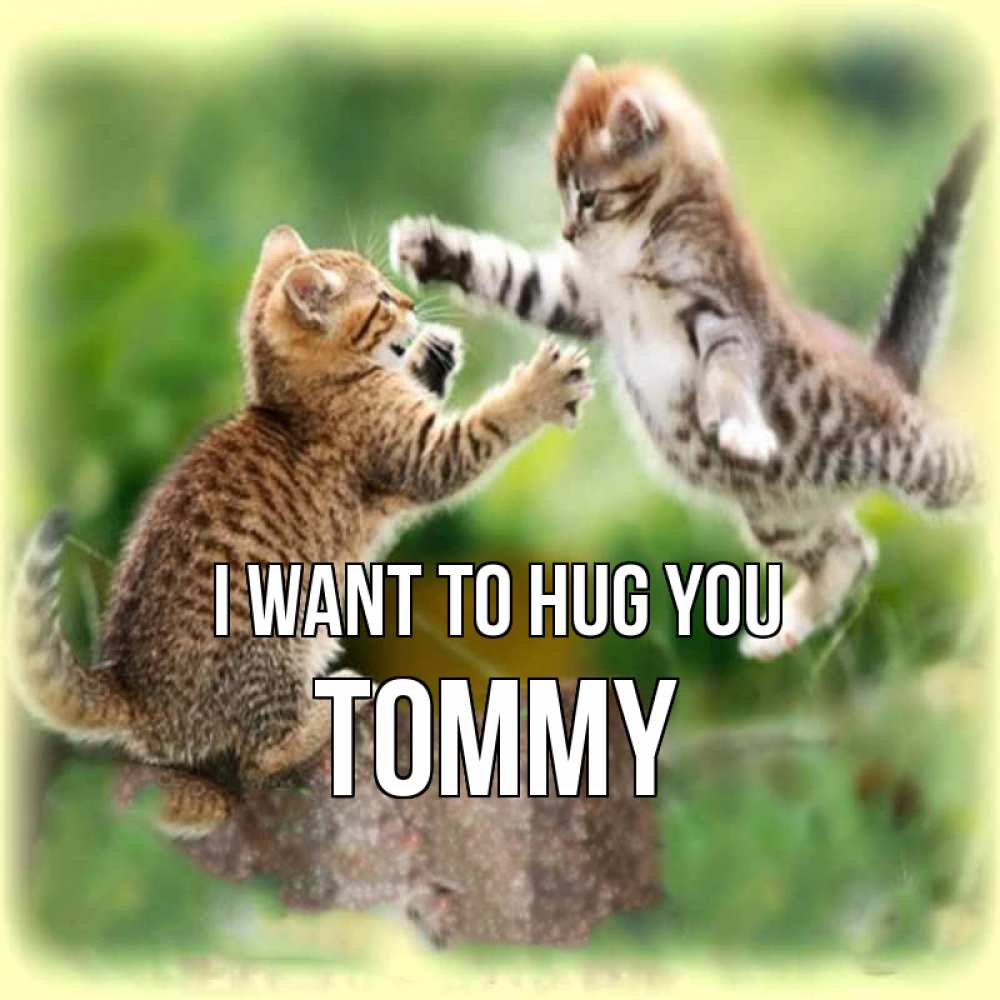Greetings card с именем, Tommy I want to hug you игры котят Greetings with text for free download 