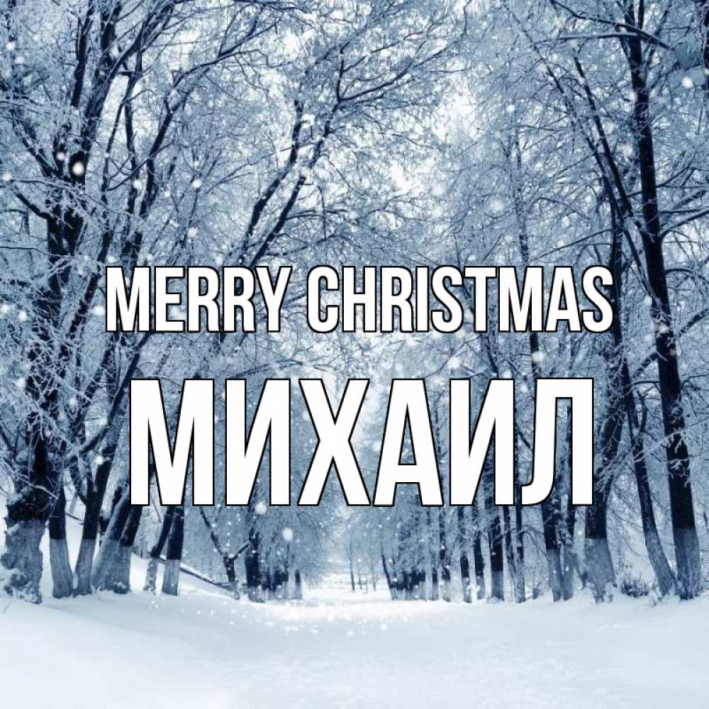 Greetings card с именем, Михаил Merry Christmas снег, лес, парк Greetings with text for free download 