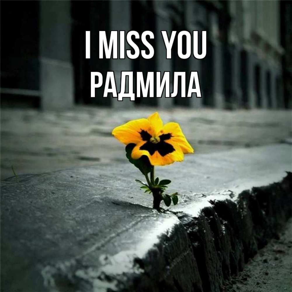Greetings card с именем, Радмила I miss you надеюсь будет лучше Greetings with text for free download 