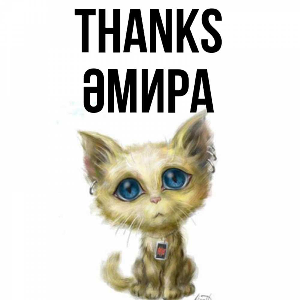 Greetings card с именем, ӘМИРА Thanks рисованный кот благодарит вас Greetings with text for free download 