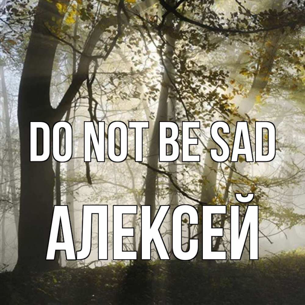 Greetings card с именем, Алексей Do not be sad лес и свет Greetings with text for free download 