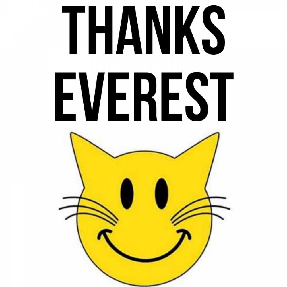 Greetings card с именем, Everest Thanks улыбающийся смайл кот Greetings with text for free download 