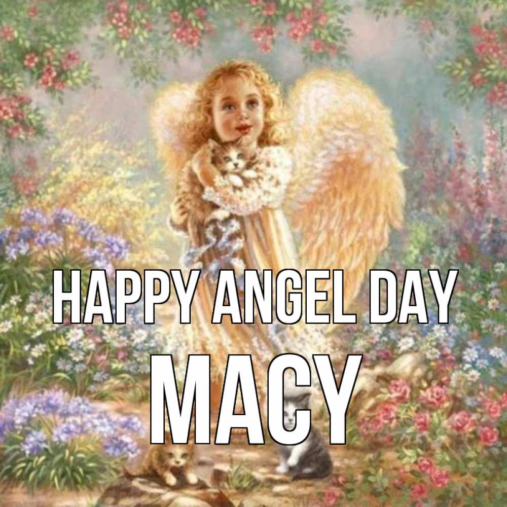 Greetings card с именем, Macy happy angel day держит котенка Greetings with text for free download 