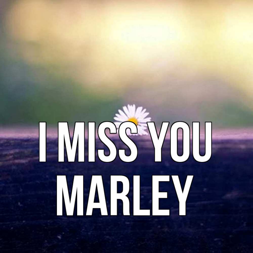 Greetings card с именем, Marley I miss you приходи в гости Greetings with text for free download 