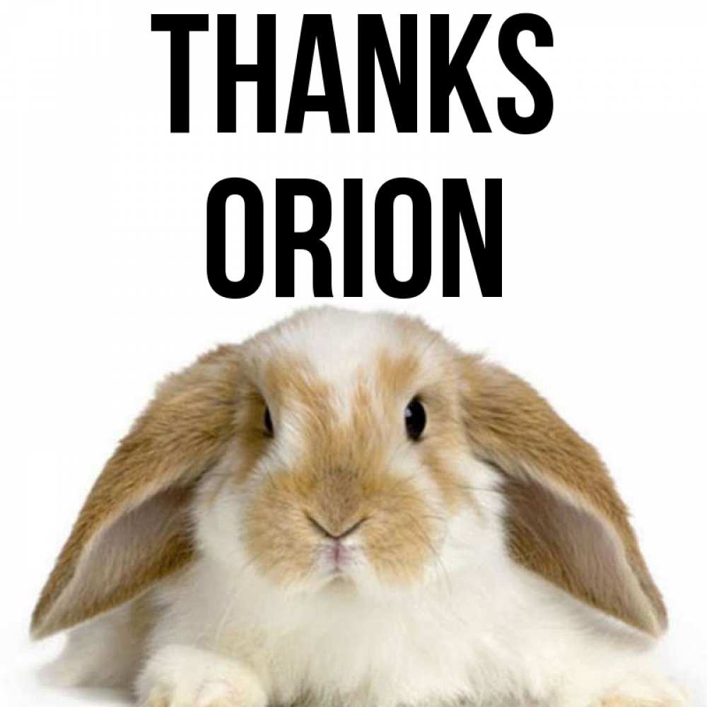Greetings card с именем, Orion Thanks коричнево белый заяц Greetings with text for free download 