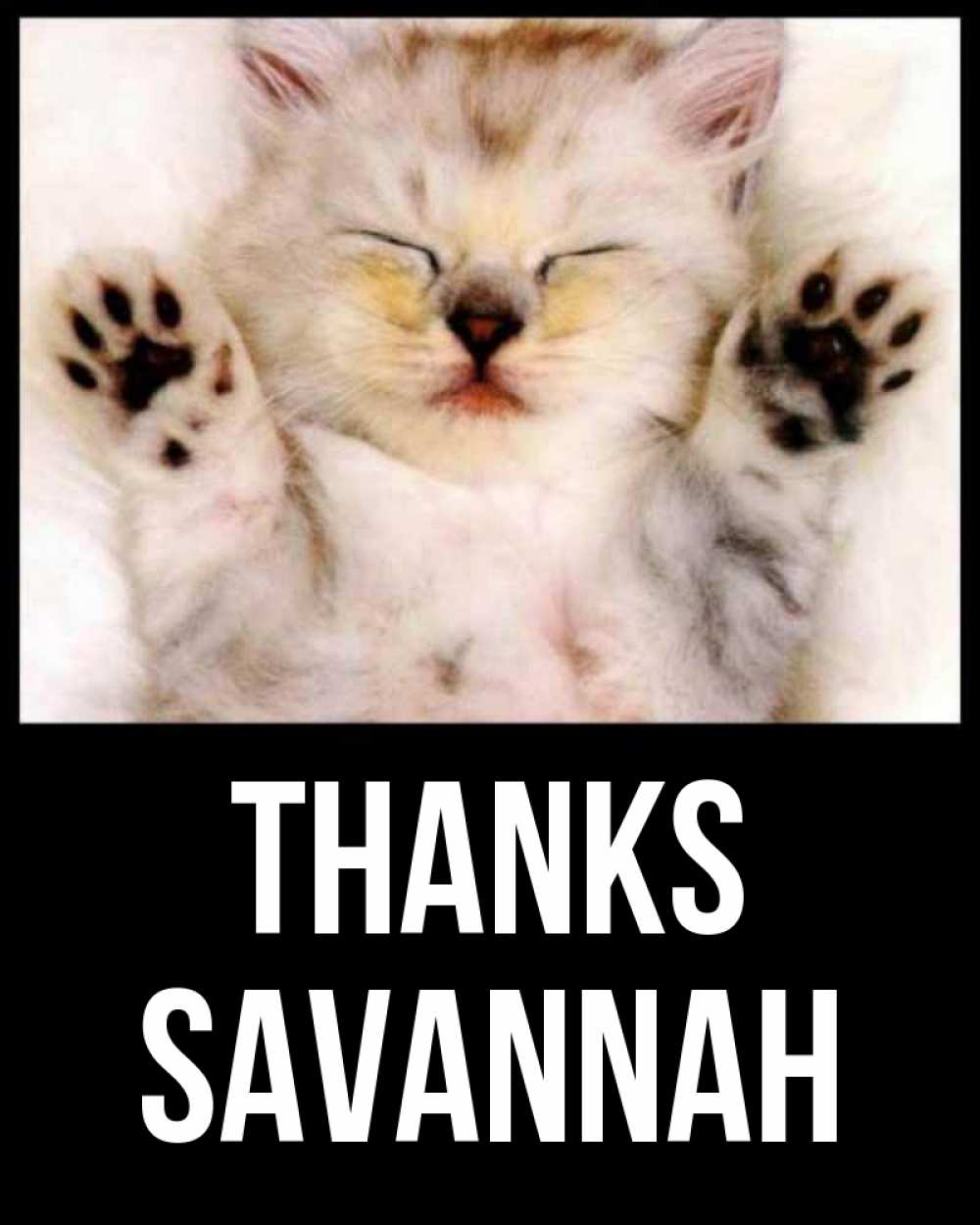 Greetings card с именем, Savannah Thanks маленький котенок Greetings with text for free download 