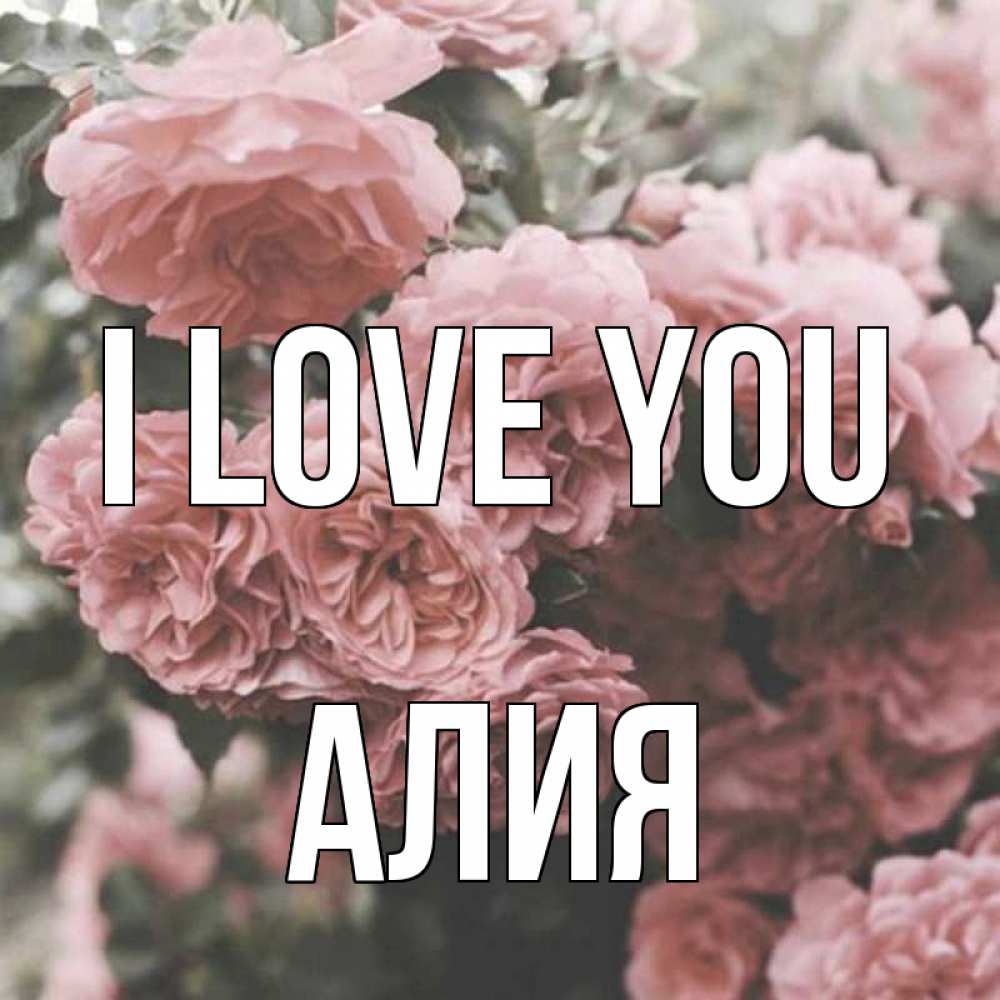 Greetings card с именем, Алия I love you розы 3 Greetings with text for free download 